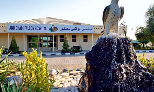 Abu Dhabi Falcon Hospital Abudabi