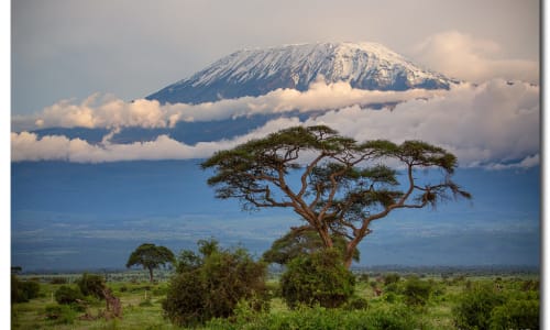 African plains Mount Kilimanjaro, Tanzania