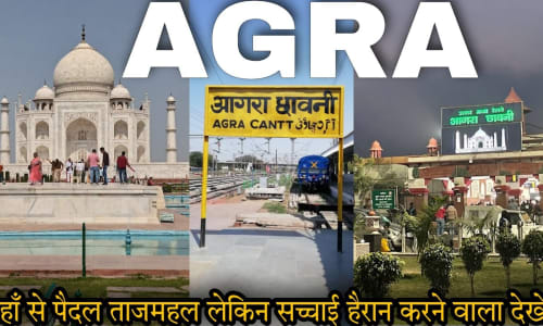 Agra Catt
