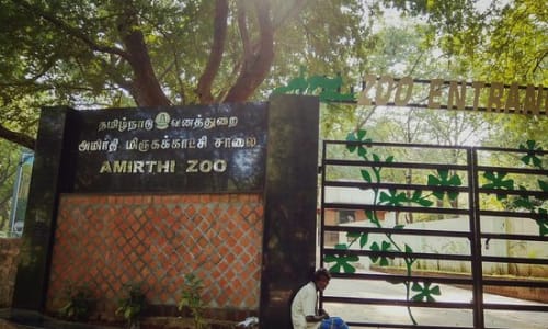 Amirthi Zoological Park Vellore