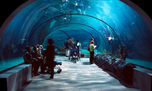Aquarium du Quebec Quebec City, Canada