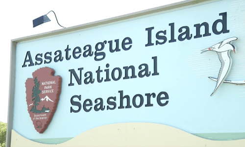 Assateague Island National Seashore Maryland