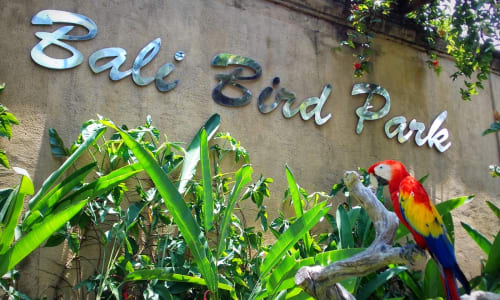 Bali Bird Park Bali