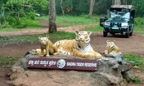 Bhadra Wildlife Sanctuary Chickmangalur