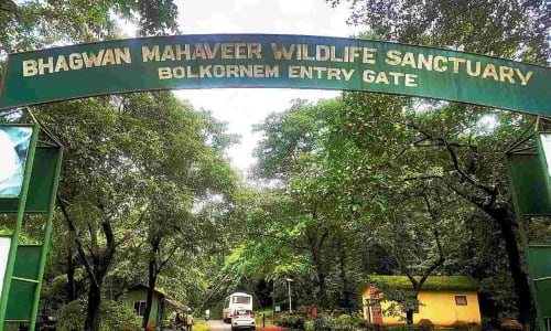 Bhagwan Mahavir Wildlife Sanctuary Goa