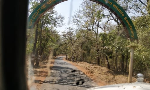 Bhimgad Wildlife Sanctuary Belgaum