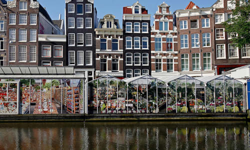 Bloemenmarkt Amsterdam, Netherlands