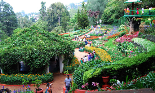 Botanical Gardens Ooty