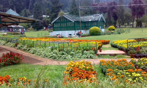 Botanical Gardens Ooty Kodaikanal