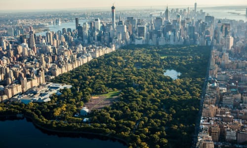 Central Park Manhattan Ny