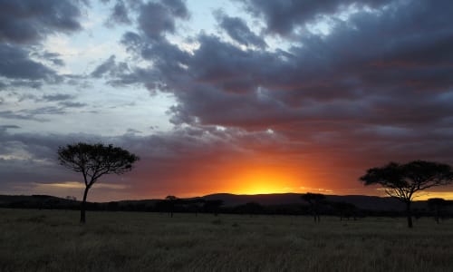 Central Serengeti Serengeti National Park, Tanzania