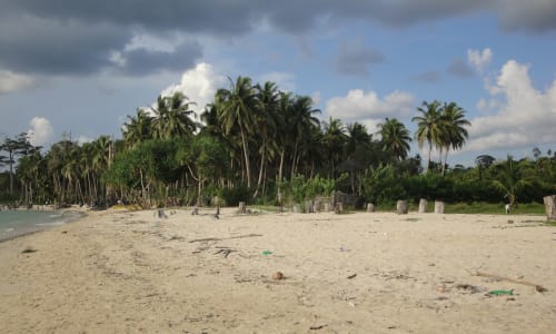 Chidiya Tapu Beach Andaman And Nicobar