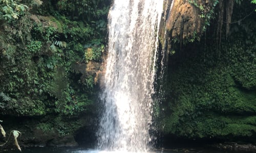 Corbett Waterfall Kashipur
