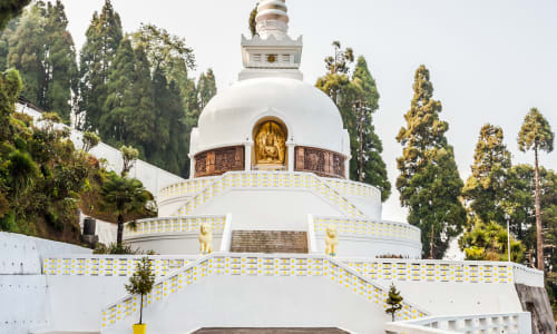 Darjeeling Peace Pagoda Darjleeg
