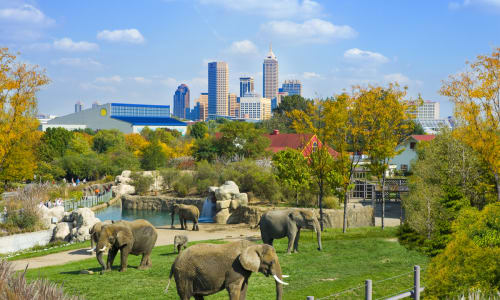 Denver Zoo Denver
