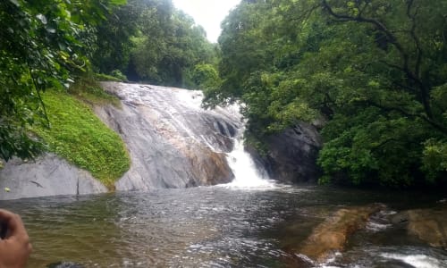 Dhoni Waterfalls Palakkad