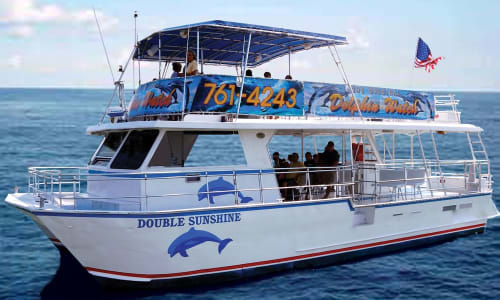 Dolphin watching tour South Padre Island