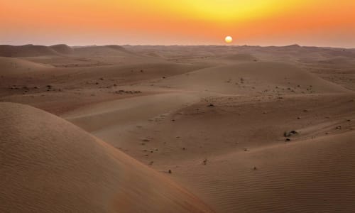 Dubai Desert Conservation Reserve Dubai