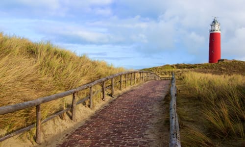 Dunes of Texel National Park Texel