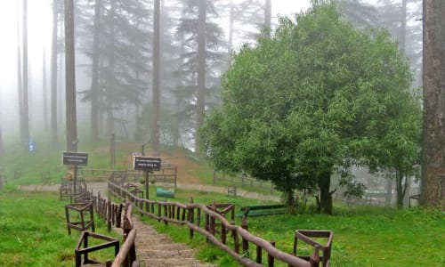Eco Park in Dhanaulti Uttarakhand