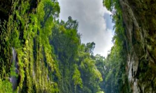 El Yunque National Forest San Juan