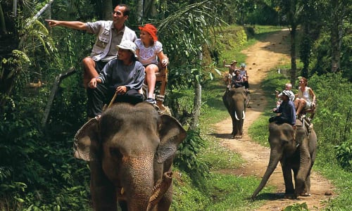 Elephant trekking tour Phuket