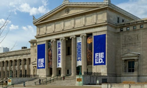 Field Museum Chicago