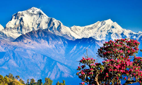 Ghorepani Nepal