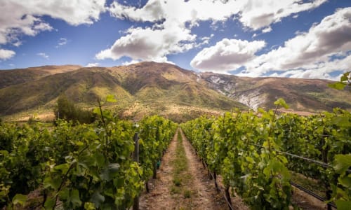 Gibbston Valley Winery Queenstown, New Zealand