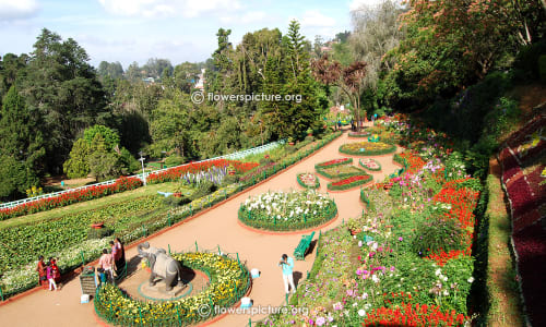 Government Botanical Garden Ooty