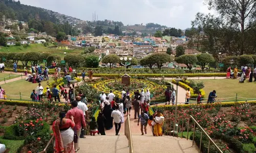 Government Rose Garden Ooty