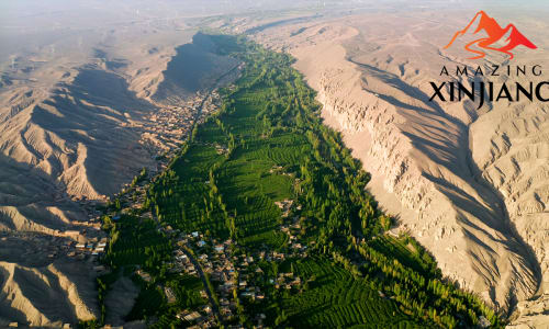 Grape Valley China Xinjiang