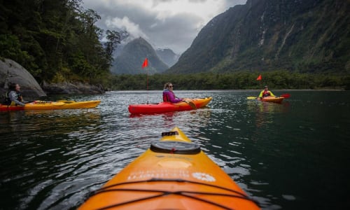 Guided kayaking tour Milford Sound, New Zealand