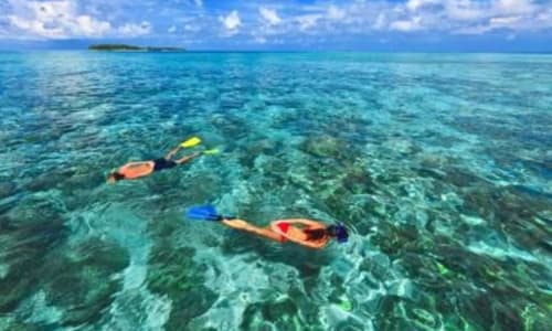Guided snorkeling tour Maldives