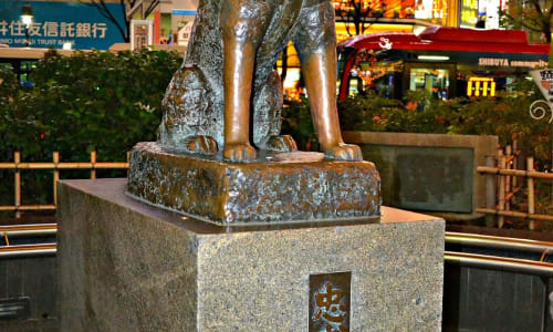 Hachiko statue Tokyo, Japan