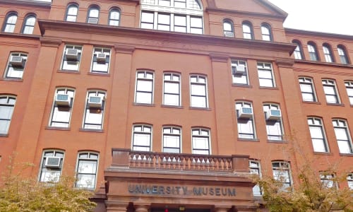 Harvard Museum of Natural History Boston