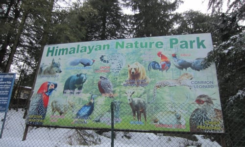 Himalayan Nature Park Shimla