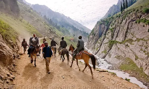 Horse riding/trekking Kashmir