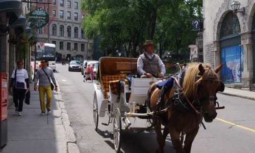 Horse-drawn carriage ride Quebec