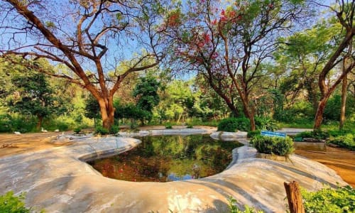 Indroda Nature Park Gandhinagar