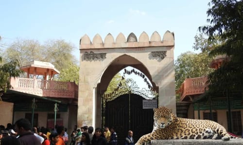 Jaipur Zoo Jaipur
