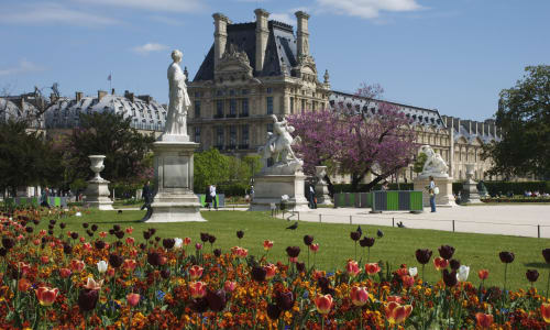 Jardin des Tuileries Paris, France