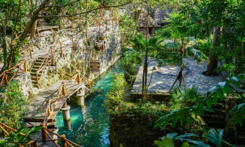 Jungle trails Cancun