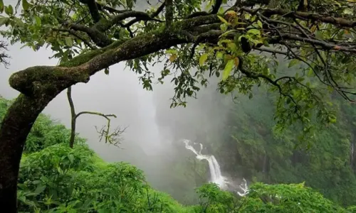 Kanakeshwar Forest Alibaug