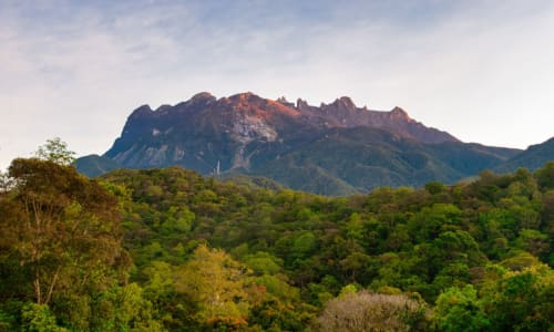 Kinabalu Park Borneo, Malaysia