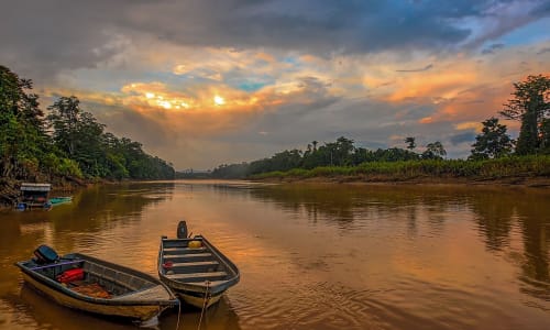 Kinabatangan River Borneo, Malaysia