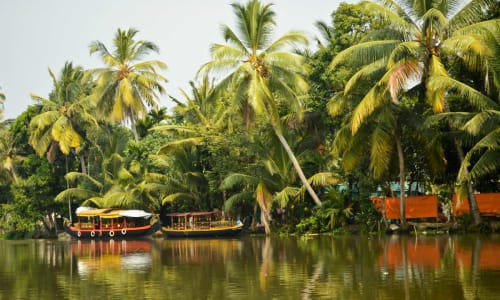 Kozhikode Backwaters Kozhikode