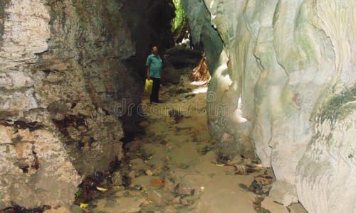 Limestone caves Andaman And Nicobar Islands, India