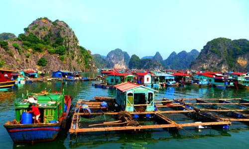 Local fishing villages in Halong Bay Vietnam