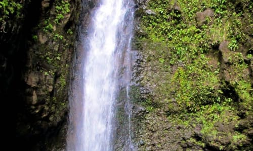 Manoa Falls Hawaii